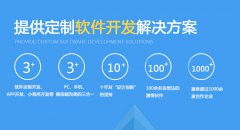 威海软件定制开发解决方案
